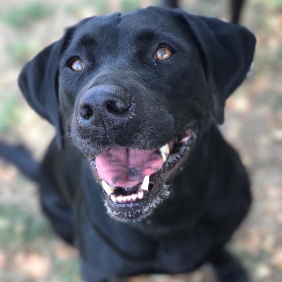 Meet your Posher, Alex - Picture 1 of 1